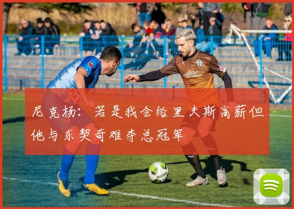尼克杨：若是我会给里夫斯高薪但他与东契奇难夺总冠军